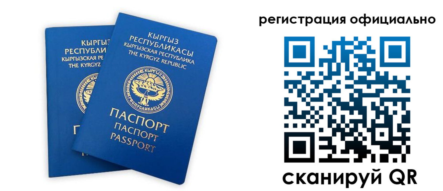 прописка поиск в Калининградской области