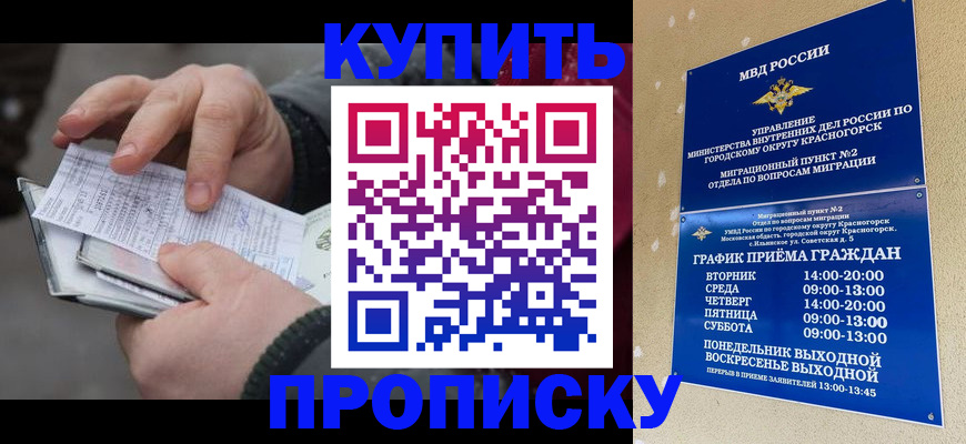 временная регистрация недорого в Калининградской области
